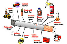 Inside ingredients of a cigarette