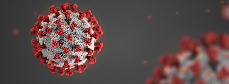 Coronavirus Disease 2019 (COVID-19)